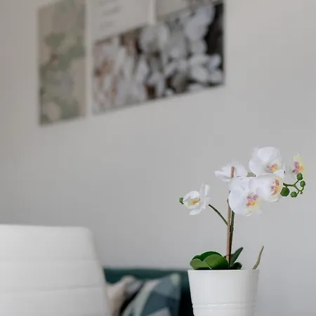 2bedroom In Reboleira Free Public Parking Διαμέρισμα Αμαδόρα
